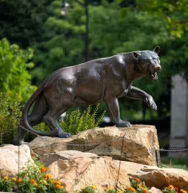 panther